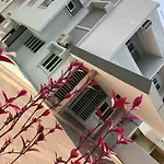 D\'House